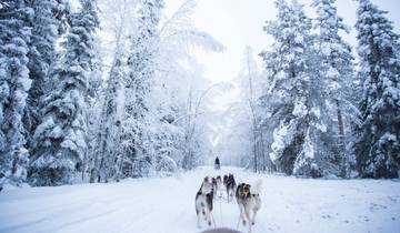 8 Days in Finland, incl. Helsinki and Lapland