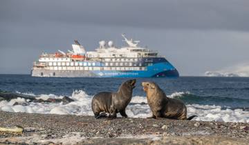 Wild Isles of the South Atlantic Tour