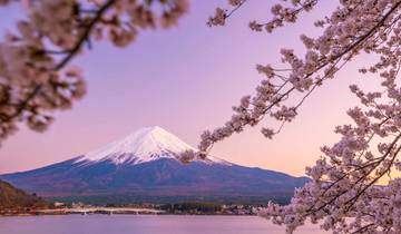 Circuito Ruta Dorada de Japón y Descubrimiento de la Costa - Regreso a Tokio (2025)