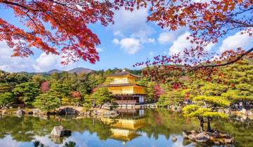Imagine Endless Discoveries in Japan and South Korea 2025 - 15 Days Tour