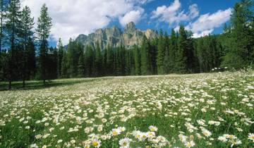 6 Day Canadian Rockies Itinerary, incl. Banff and Jasper