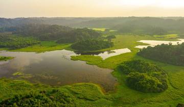 3 Tage/2 Nächte in Nam Car Tien - Ökologischer Pfad - Nachtsafari - Krokodilsee - Bootstour Rundreise