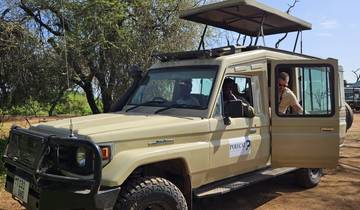 5 Tage Flug ab Sansibar private Luxus-Safari Serengeti, Ngorongoro & Tarangire