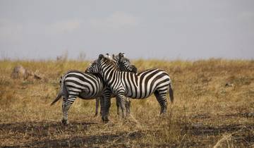 Kenia-10 Tage komplette Kenia-Safari Rundreise