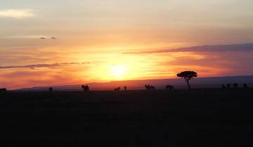 77 Day East & Southern Africa Itinerary, incl. Nairobi and Cape Town