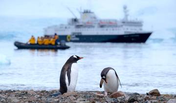 Circuito Círculo Antártico, Georgia del Sur y Malvinas - Douglas Mawson (Navidad)