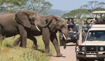 Ngorongoro und Kilimandscharo private Safari 3 Tage Rundreise