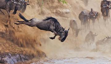 5-Day Wildebeest Migration Fly-In Private Mid-range Safari Tour