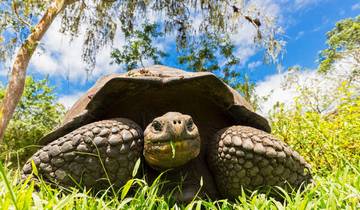 Highlights of Peru (Galapagos Legend, 13 Days, Intra Tour Air Baltra To Quito) Tour