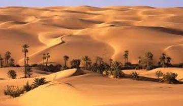 Adventure in Egypt Desert Tour