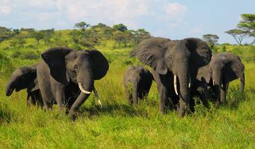 Uganda: group tour 10 days