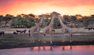 6 dagen safari in Namibië | Camping met privébegeleiding