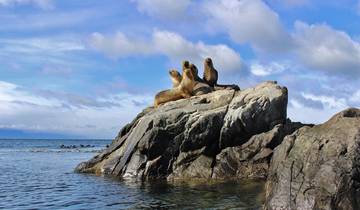 Relaxed Best of Southern Chilean Patagonia in 6 Days Tour