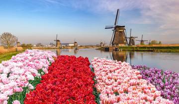 Flower Paradise Holland Tour