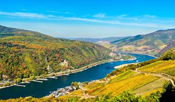 Schnupper im Herbst auf dem Rhein