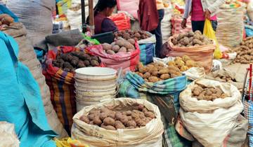 Peru: Machu Picchu and Lake Titicaca  (Lima to Puno) (2025)