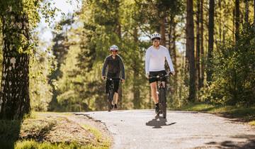 Scenic Finland: Coastal Roads & Forest Trails