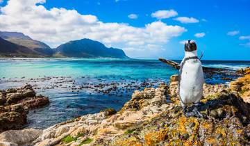 Südafrika Gardenroute: Wildlife, Waves & Roadtrip Vibes