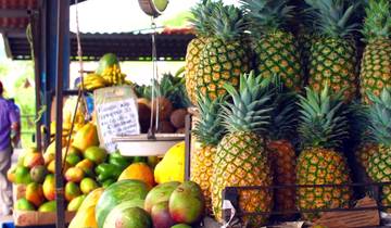 14 Days in Panama, incl. Panama City and Bocas del Toro
