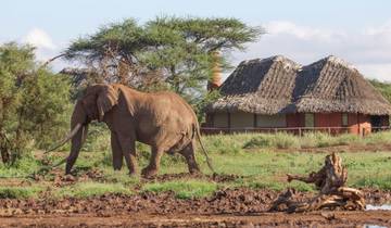 8 Days Kenya Group Joining Safari -Fixed Departure Dates Tour