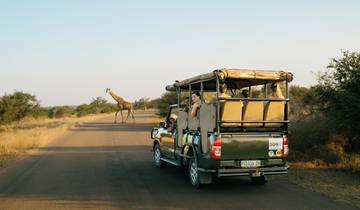 Safari por África Austral (21 días, impuesto intraurbano de Ciudad del Cabo a Johannesburgo)