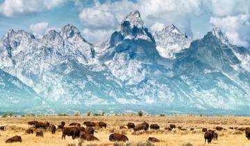 Ruta de los Parques Americanos (Grupos pequeños, Fin en Denver, 9 días)