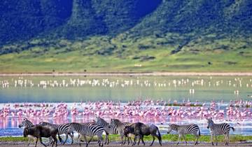 Road to Zanzibar (8 destinations)
