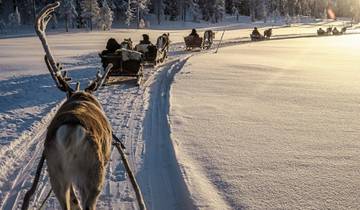 Winter fascination Finland