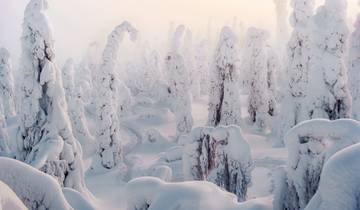 La fascination de l'hiver en Finlande