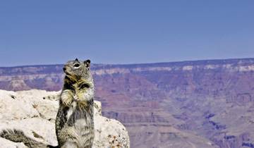 14 Days in USA Coast to Coast, incl. New York and Las Vegas