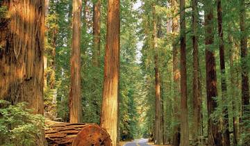 Les beautés naturelles de la côte ouest circuit