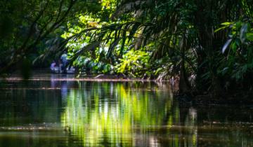 Expérience de la jungle de Tortuguero