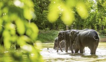 Circuito Norte de Tailandia con el Triángulo de Oro (viaje privado) (6 destinations)