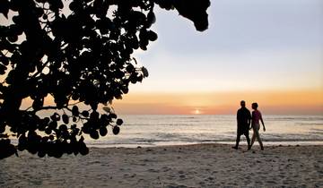 Florida Sunshine State & Beach (standaardversie)-rondreis