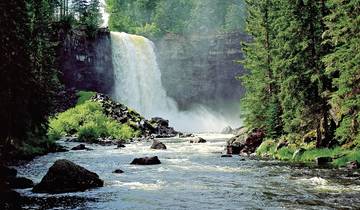 Wilderness Experience
