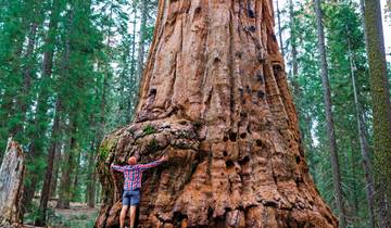 Discover California on a small group tour