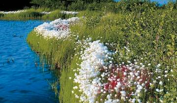 Traumrouten Alaska & Yukon