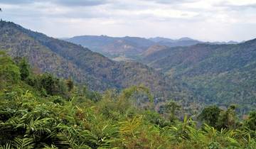 Khao Yai National Park