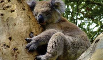 Great Ocean Road & Grampians (MEL22004)