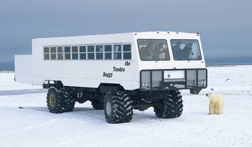 Expérience des îles glacées avec Tundra Buggy Lodge (6 nuits)