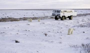 Ice barbarian experience with Tundra Buggy Lodge (6 nights)