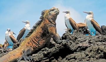 Inca centers, colonial splendor & unique natural spectacles