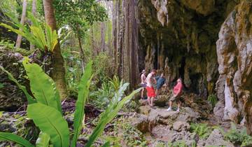 Cook Islands experience