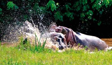 Drifters - Uganda Explorer Tour