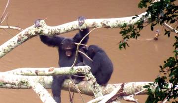 Drifters - Uganda Explorer Tour
