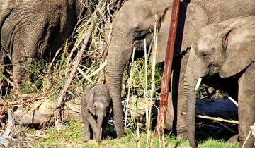 South Africa A La Carte - Small Group Tour