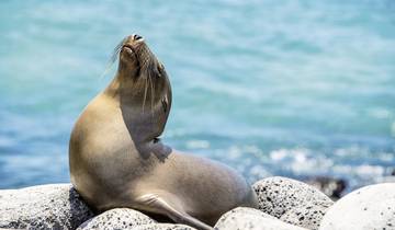 Galapagos Scalesia Lodge - 3 nights Tour