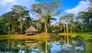 Peru's rainforest - Posada Amazonas