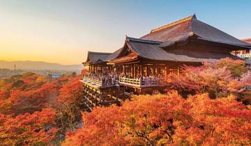 Get to know Japan (land program only)