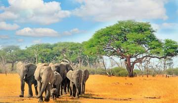 Abenteuer Hwange Nationalpark